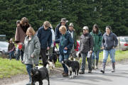 Charity Dog Walk